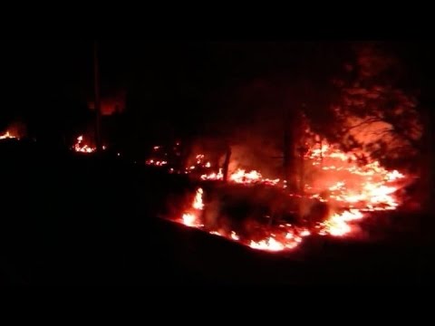 شاهد حرائق تأتي على 90 ألف هكتار من الغابات