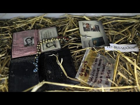 الجنائية الدولية تفصل في الاتهامات المتبادلة بين زاغرب وبلغراد