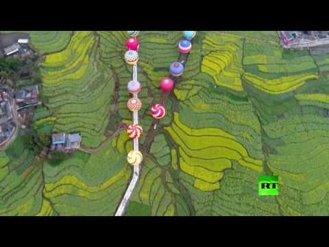 بالفيديو  حفلة زواج جماعي وسط مشهد طبيعي نادر