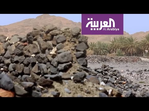 شاهد عيد اليحيى يروي قصة عشار الحمير في خيبر