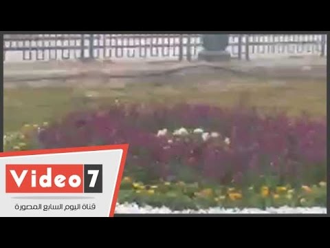 تحيا مصر تُزين المساحات الخضراء في ميدان التحرير