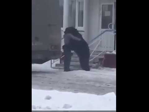 متهور يصارع دبًا ويركب على ظهره