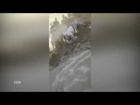 شاهد فهد ينقض على حارس حديقة حاول إنقاذه