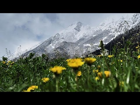 شاهد موجة باردة تضرب العديد من الدول الأوروبية