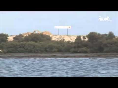 الدعم الإيراني وراء تمكين الحوثيين من الصعود السريع