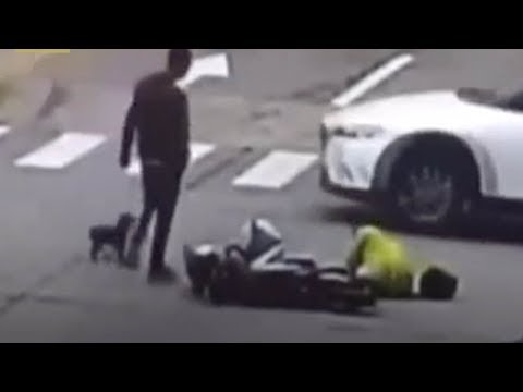 كلب يلاحق سيارة بعد أن صدمت مالكه