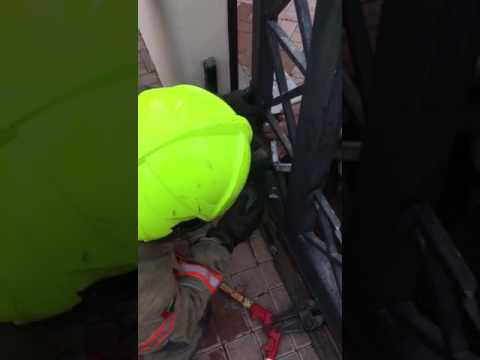 شاهد لحظة إنقاذ كلب علقت رأسه في بوابة حديدية في دبي