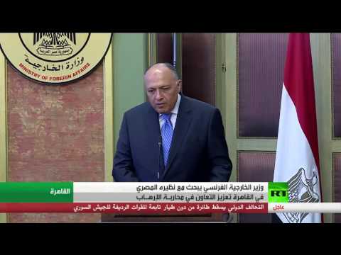 شاهد انطلاق محادثات مصرية فرنسية في القاهرة