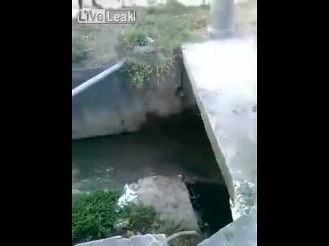 مراهق يدفع ثمن استعراضه أمام أصدقائه