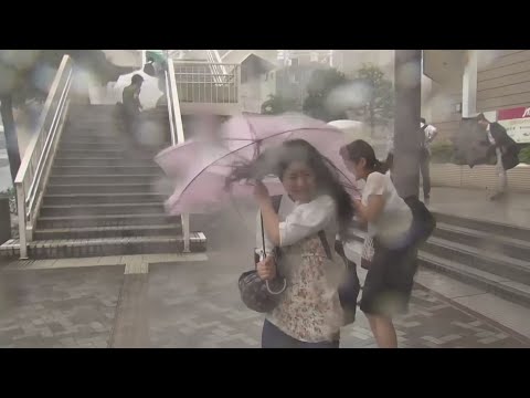 شاهد الرياح القوية في اليابان تتلاعب بالمارة والأشجار