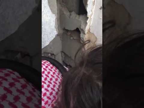 شاهد سعودي يهدم جدار منزله لإنقاذ قطة