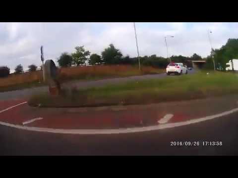 شاهد كلب شجاع يلقي القبض على مجرم يختبئ وسط الحقول