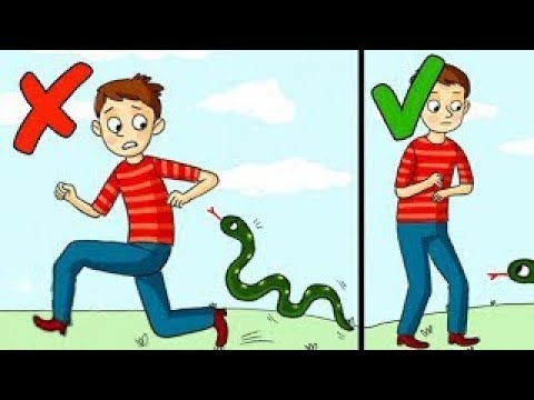 7 نصائح بسيطة ستنقذ حياتك من مخاطر الطبيعة