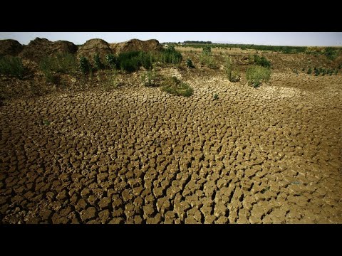 شاهد البشرية تستنفذ نصيبها من موارد الأرض الطبيعية لهذا العام