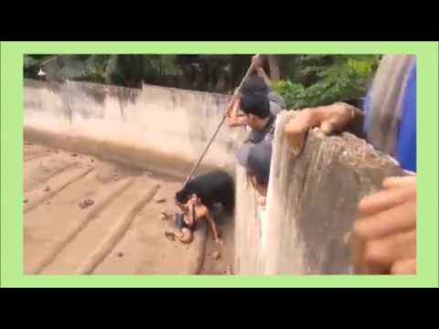 شاهد لحظة افتراس دب جائع لشاب سقط داخل قفصه