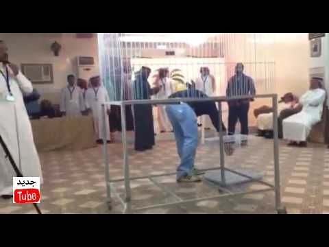 أغلى حمامة في العالم يبلغ سعرها 32 ألف ريال