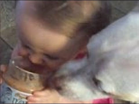 شاهد طفلة صغيرة تثير ضجة بتناول الطعام مع كلبها