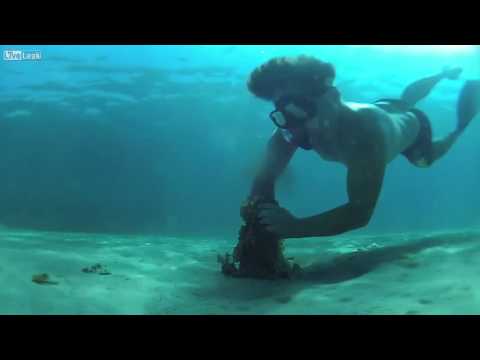 شاهد شاب يصطاد أخطبوطًا بطريقة غريبة