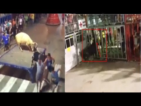 ثيران تلعب بضحاياها كالدمية في مهرجان إسباني