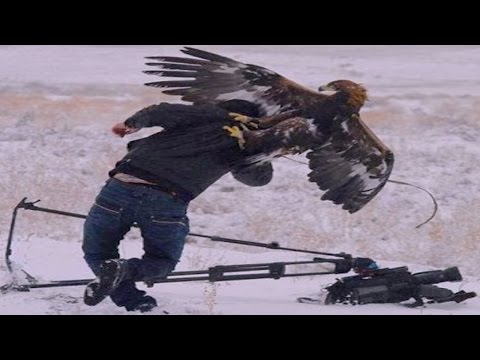 أقوى 5 معارك مميزة ضد الثعابين