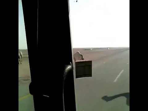 شاهد حادث تصادم مروّع بسبب الجمال