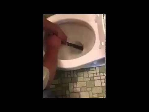 مسن يستعين بجاره لإخراج ثعبان ضخم من مرحاض منزله