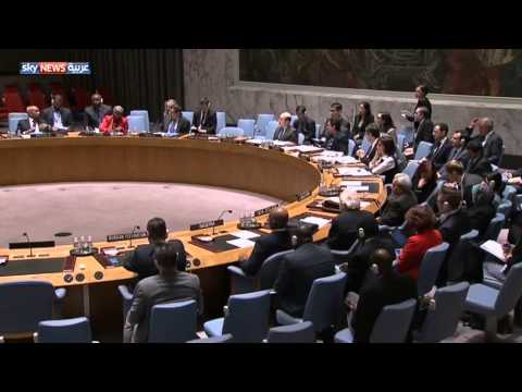 مساندة دولية للقصف المصري على داعش