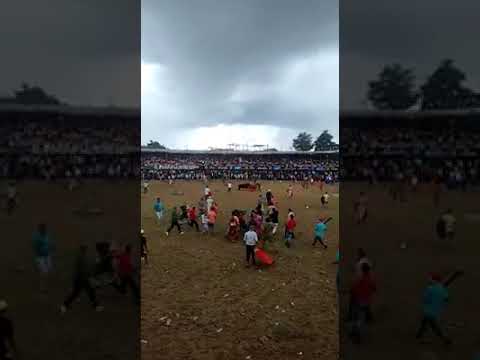 مشهد مروّع لثور يقتل رجلا بضربة واحدة