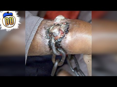 قائمة بأكثر 15 سجنًا وحشيًّا حول العالم