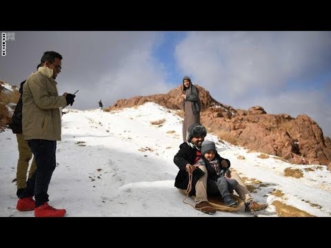 شاهد سعوديون يتزلجون على الثلج في تبوك