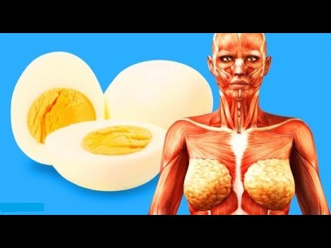 شاهد هل تعلم ماذا يحدث لجسمك إذا أكلت بيضتين يوميًا 