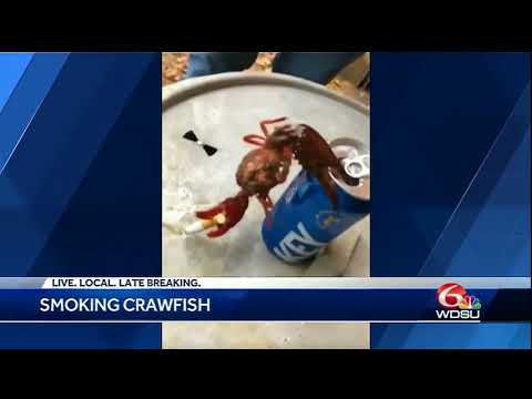 إستاكوزا تدخن السجائر وتشرب البيرة