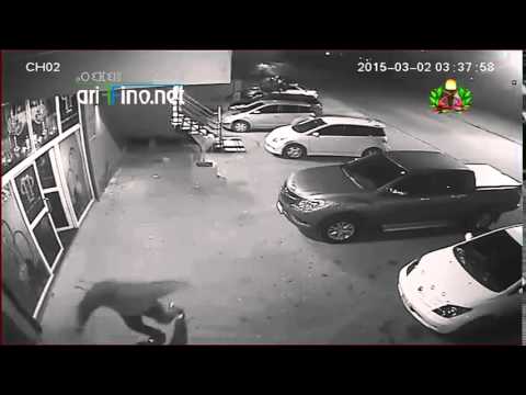 اغتيال شخص متورط بتصفية مهاجر ريفي في بلجيكا