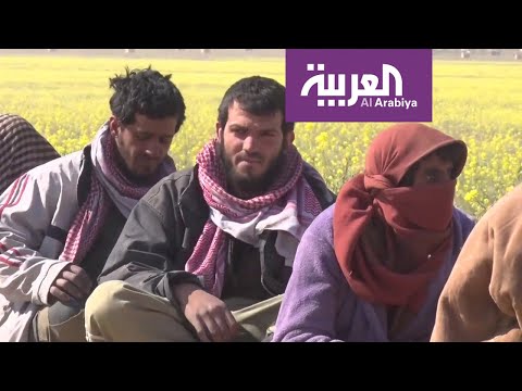 شاهد تركيا تستخدم ملف أسرى داعش للضغط على الأوروبيين