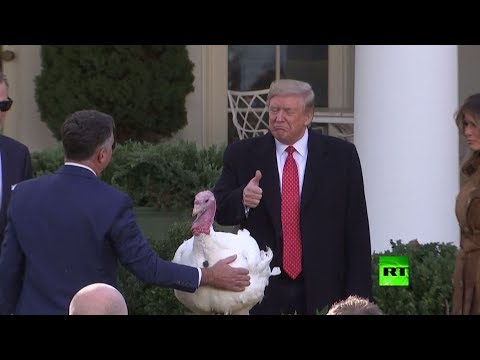 شاهد دونالد ترامب يعفو عن باتير بمناسبة عيد الشكر