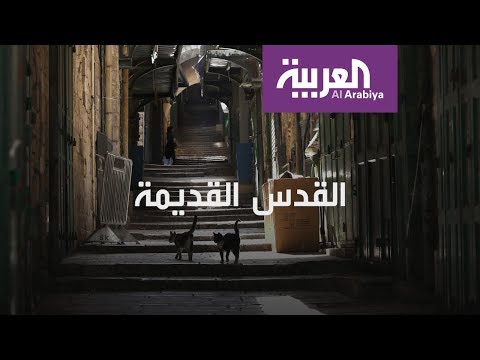 شاهد أسواق وحواري القدس تتحول لمدينة أشباح بسبب كورونا