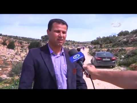 الجرافات الإسرائيلية تقتلع 300 شجرة زيتون شاهد