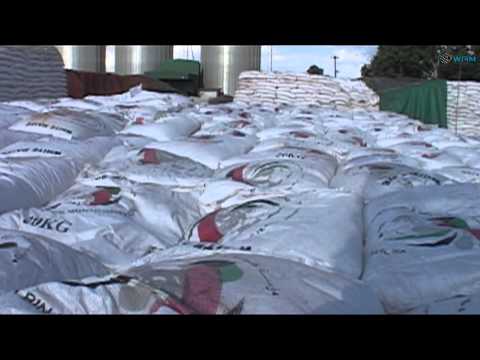 مؤسسة خليفة الإنسانية تساهم في دعم 650 ألف أسرة مالاوية متضررة