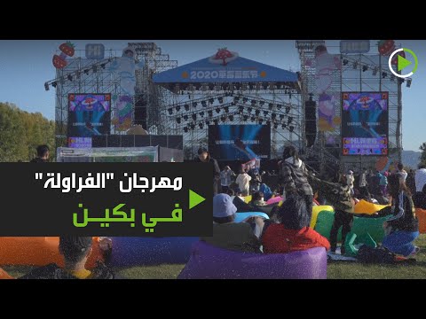 شاهد انطلاق مهرجان الفراولة الموسيقى الأكبر والأقدم في الصين