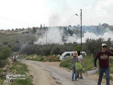 تنظيم مسيرة في بلعين للمطالبة بحقوق الأسرى