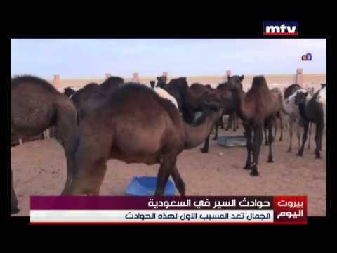 دراسة تؤكد أن الطرق السعودية الأخطر في العالم