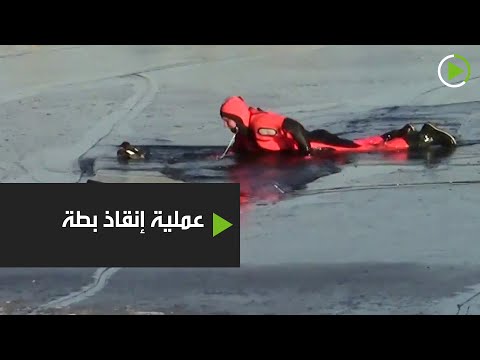 شاهد البطة العالقة في جليد موسكو