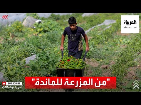 شاهدبدون وسيط مبادرة لدعم المزارعين في فلسطين