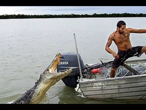 شاهد تعرف على أخطر 10 حيوانات مميتة