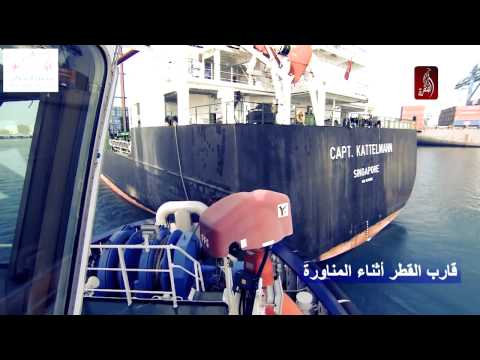 موانئ أبوظبي تبادر بإنشاء فريق نبض الموانئ