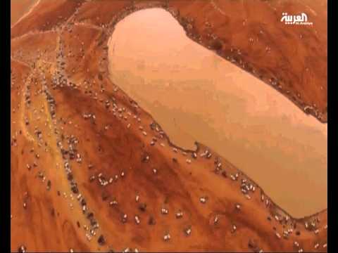 لقطات مصورة لـغرب الرياض