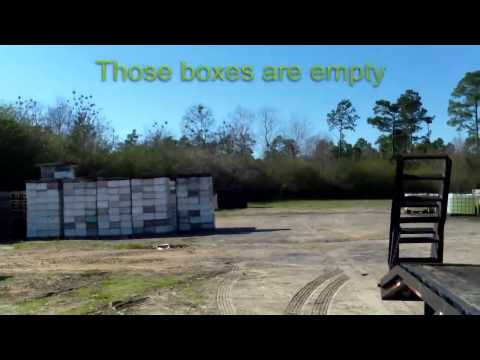 النحل يتناول وجبة دسمة على شاحنة