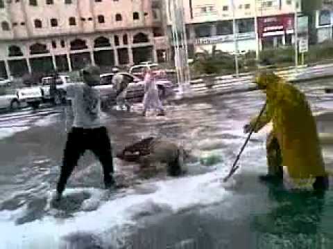 شاهد مقطع طريف يرصد السقطات المحرجة على الثلج