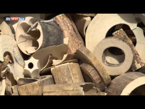 شاهد الإمارات تتلف 10 أطنان من العاج المهرَّب