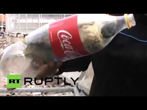 شاهد إحباط محاولة تهريب 24 طائرًا مهددًا بالانقراض